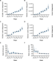 Check spelling or type a new query. A Digital 3d Reference Atlas Reveals Cellular Growth Patterns Shaping The Arabidopsis Ovule Elife