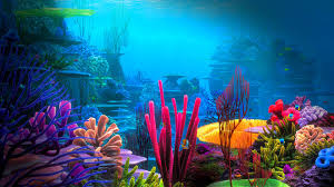 Under this boring piece of text, we present you our greatest underwater wallpapers that we've gathered along our journey to beautify your desktop or mobile screen. Underwater World Wallpapers Top Free Underwater World Backgrounds Wallpaperaccess