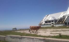 We did not find results for: El Picon Blanco Nieve Vacas Y Bicis El Diario Montanes