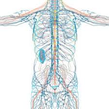 Pin On Health