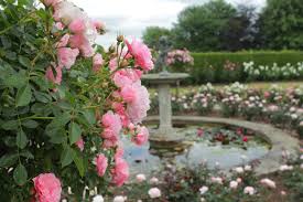 Rose Garden Emmetts Rose Garden Design Roses Garden Care Garden Care