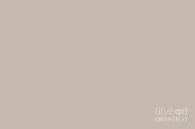 Check spelling or type a new query. Soft Beige Brown Solid Color Pairs To Valspars 2021 Color Of The Year Gallery Grey 2006 10b Digital Art By Melissa Fague