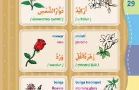 Eleanor nama yang bermakna cahaya. Kamus Bergambar Anak Muslim Nama Nama Bunga Bahasa Indonesia Inggris Arab Ebook Anak