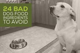 Jun 09, 2021 · read also: These Bad Dog Food Ingredients Are Some Of The Worst Offenders In Pet Food While All Of These Ingredients Ar Dangerous Foods For Dogs Bad Dog Dog Food Recipes