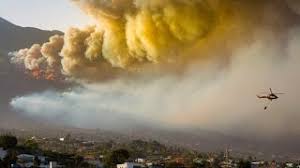 We did not find results for: Waldbrand Im Sudwesten Graja News La Palma Nachrichten