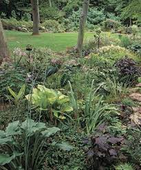 Solutions For Wet Shady Sites Finegardening Shade Plants Shade Garden Bog Garden