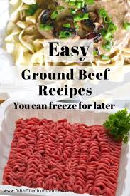 Easy Ground Beef Recipes You Can Freeze For Later Ground Beef Recipes Easy Ground Beef Recipes Dinner Recipes Easy Family