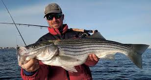 Fly Fishing Tips For Trophy Stripers On The Water