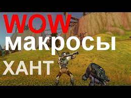 Охотник в Битве за Азерот