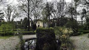 Francesca Fiorini Mattei On Instagram In This Weekend The Botanic Garden Is Open Sadly It Is Not In The Best Shape Ever But F Botanical Gardens Tree Plants