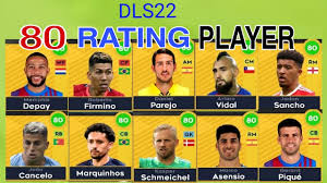 Image result for DLS 80