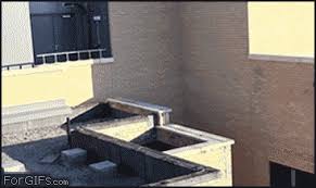 Shout it from the rooftops gif. Best Rooftop Gifs Primo Gif Latest Animated Gifs