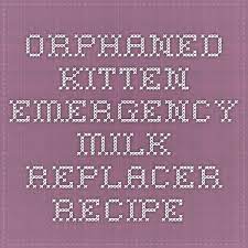Orphaned Kitten Emergency Milk Replacer Recipe Kitten Formula Recipe Kitten Formula Kitten Food