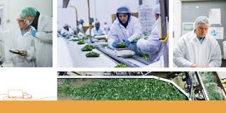 Lancaster's finest gourmet food shops, candy makers, chocolate shops, liquor stores, bakeries, cupcake stores and more are here. Lancaster Foods Llc Started From A Truck Bed Now We Re Here Www Thesnack Net