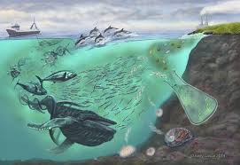 10 Biotic Factors In The Ocean Future Of Edna Could Bring Easier Low Cost Marine Species Monitoring Science Illustration Marine Ecosystem Science Art