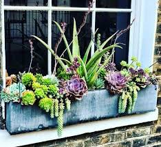 We build our window boxes, planters and window shutters in a variety of styles and sizes to fit various home exterior designs. 10 Succulent Window Box Ideas In 2021 Window Box Flowers Balcony Flower Box Window Box Plants