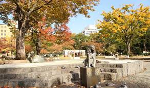 「横浜公園 紅葉 画像 無料」の画像検索結果