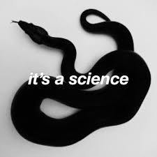 Release your magnificent powers with these zodiac journals:♈ aries (ram): Season2ep3 Tumblr Blog Tumgir