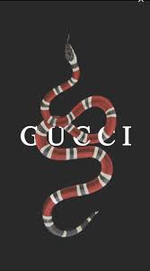 Here you can find the best gucci logo wallpapers uploaded by our community. Gucci Wallpaper 4k Gucci 22019 Hd Wallpaper Backgrounds Download