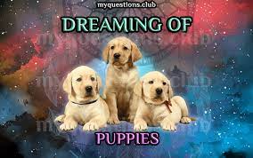 If the dog was barking happily and out of satisfaction, such dream could symbolize some fun social activities, pleasure, and satisfaction. Dreaming Of Puppies My Questions