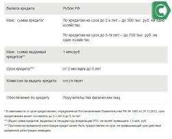 S Kakogo Vozrasta Dayut Kredit V Sberbanke V 2020 Godu Na Segodnya
