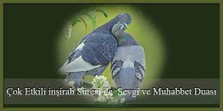 cok etkili insirah suresi ile sevgi ve muhabbet duasi dualar mutlu evlilik duanin gucu