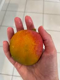 Thank you so much, i love you all! Mango