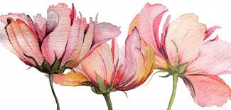 Tutorial per disegnare fiori disegno floreale disegni semplici arte del fiore modelli pittura schizzi di fiori fiori dipinti pareti dipinte a mano piccoli disegni. Fiori On Tumblr