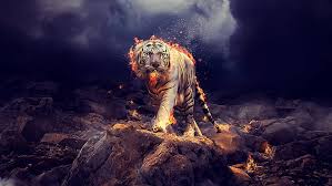 Check spelling or type a new query. Hd Wallpaper Fantasy Animals Tiger Flame White Tiger Wallpaper Flare