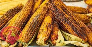 Maize was first domesticated inmexiconearly. ØªÙØ³ÙŠØ± Ø±Ø¤ÙŠØ© Ø§Ù„Ø°Ø±Ø© ÙÙŠ Ø§Ù„Ù…Ù†Ø§Ù… 2019
