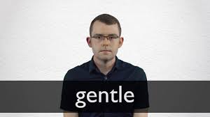 نتیجه جستجوی لغت [gentle] در گوگل