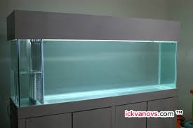 Gambar diatas bisa anda unduh gratis dengan mudah dan cepat, silahkan tekan tombol download dibawah ini. Aquarium Baru Ickvanovs Blog