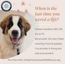 Search for a pet, rescue group or article go. Save A Life Foster A Dog Connections Pet Rescue Is Looking For Fosters Like You Fostering Gives Dogs A Second Chance For A Better Life You Are Their Life Ring As A