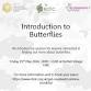 Introduction to Butterflies - Bothel Village Hall Event Image