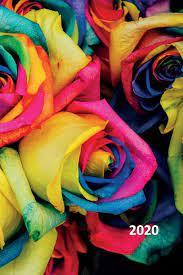 Dec 04, 2020 · these pastel pink flowers are also beautiful when gifted solo or in a bouquet. Buy 2020 Kaleidoscope Roses Meaning Gorgeous Planner Calendar Organizer Daily Weekly Monthly Student For Notes On How To Paint Abstract Flowers Book Online At Low Prices In India 2020 Kaleidoscope Roses