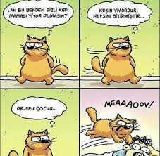 Guzel Bir Hafta Gecirmeniz Icin Birbirinden Komik 18 Karikatur Karikatur Komik Kedi