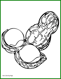 Yellowstone national park is america's first national park. Coloring Pages Extraordinary Peanut Coloring Pages Picture Ideas Coloring Pages Printable Coloring Pages For Kids Wonder Park Peanut Coloring Pages Along With Coloring Pagess Coloring Home