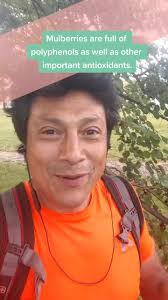 do you like mulberries. #vegan #glutenfree #mulberry