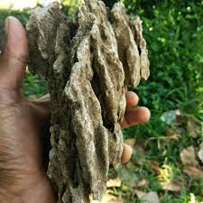It is about 20 km to the northwest of malang. Batu Pasir Sand Stone Aquascape Shopee Indonesia