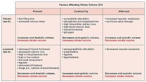 Stroke Volume Wikipedia The Free Encyclopedia School