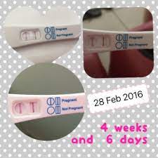 Take a look at the visual below to get an idea of how things are progressing inside your belly. 4 Weeks And 6 Days Pregnancy Test October 2016 Babycenter Australia