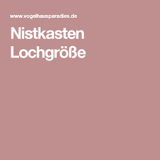 Nistkasten Lochgrosse Nistkasten Kasten