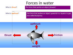 Air And Water Resistance Ppt Download