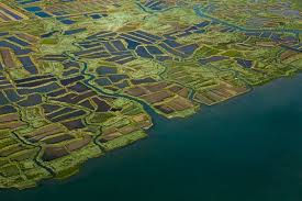 Photographies Aeriennes De Francis Cormon Charente Maritime Ile D Oleron Photographie Aerienne