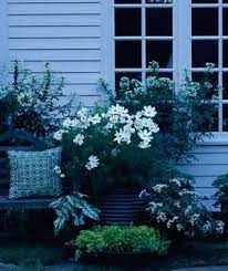 Where to buy moon garden flowers. How To Design A Moon Garden First Come Flowers