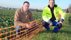 90 Prozent weniger Hasen in Groin überfahren