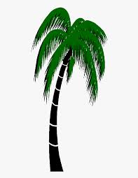The term coconut (or the archaic cocoanut. Transparent 3d Palm Tree Png Palm Tree Animated Png Png Download Kindpng