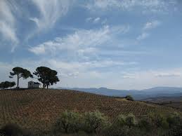 Camino de Santiago - The French Way - The Trail Lady