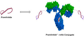 Image result for Pramlintide