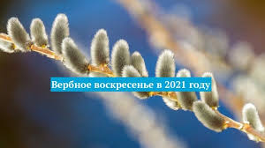 Никаких специальных поздравлений в вербное воскресенье не учреждено. Verbnoe Voskresene 2021 Kakogo Chisla Obychai Chto Nelzya Delat Budut Li Osvyashat Verbu